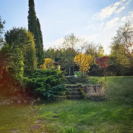 Pod Klonami Na Mazurach *